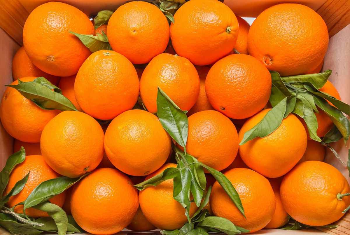 Livraison Caisse d'oranges à Dakar